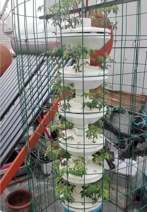 1603700557476367.jpg u=662302096,3878150219&fm=15&gp=0.jpg