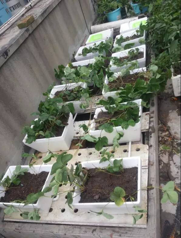 1603700639418835.jpg 微信圖片_20201026113612.jpg