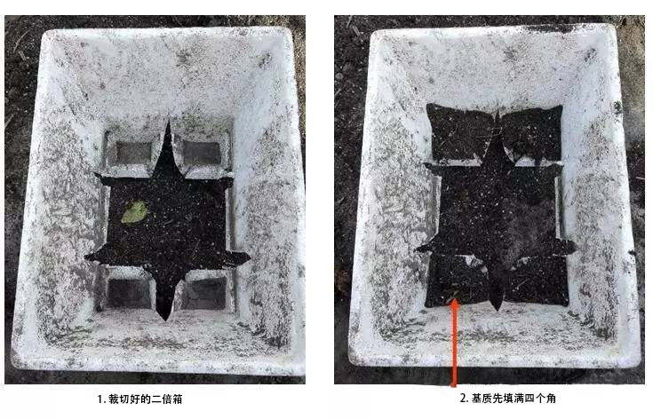 1603700681352406.jpg 微信圖片_20201026113905.jpg