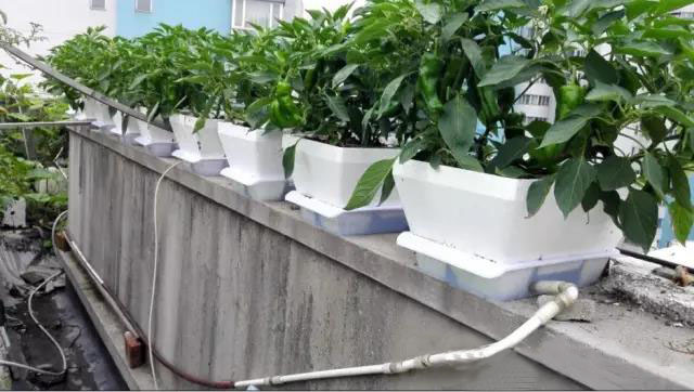 1603700718884807.jpg 微信圖片_20201026115128.jpg