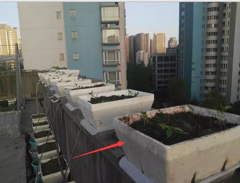 1603700755583920.jpg 微信圖片_20201026134408.jpg