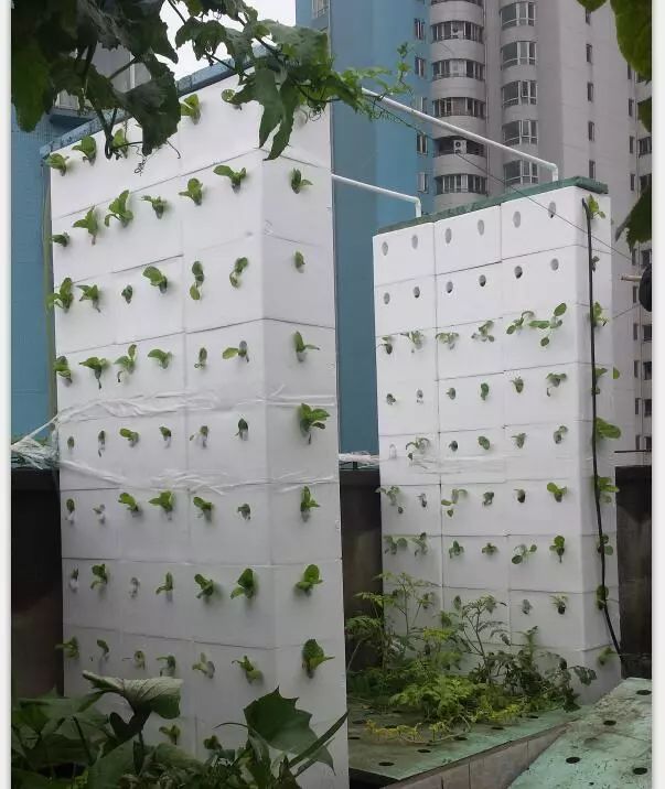 1603700831707705.jpg 微信圖片_20201026134414.jpg