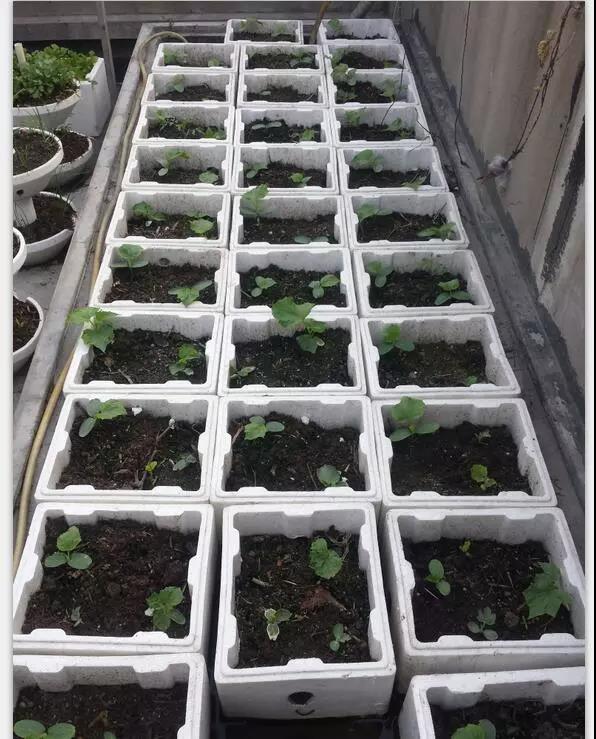 1603700866192860.jpg 微信圖片_20201026134419.jpg