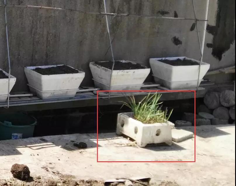 1603700905351430.jpg 微信圖片_20201026134423.jpg