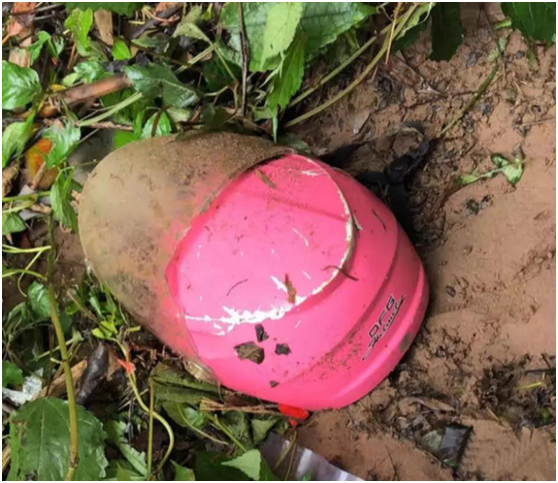 廠家直銷 廠家直銷