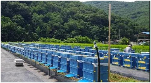 EPP成型制品 EPP成型制品